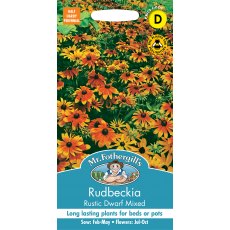 Fothergills Rudbeckia Rustic Dwarf Mixed Fothergills Rudbeckia Rustic Dwarf Mixed