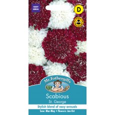 Fothergills Scabious St. George Fothergills Scabious St. George