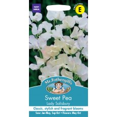 Fothergills Sweet Pea Lady Salisbury Fothergills Sweet Pea Lady Salisbury