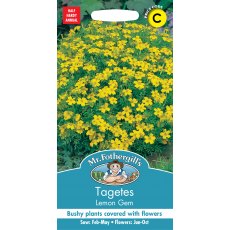 Fothergills Tagetes Lemon Gem Fothergills Tagetes Lemon Gem