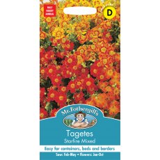 Fothergills Tagetes Starfire Mixed Fothergills Tagetes Starfire Mixed