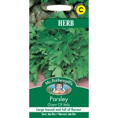 Fothergills Parsley Giant Of Italy Herb Garden Fothergills Parsley Giant Of Italy Herb Garden