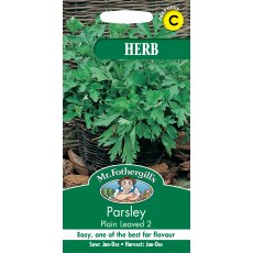 Fothergills Parsley Plain Leaved 2 Herb Garden Fothergills Parsley Plain Leaved 2 Herb Garden