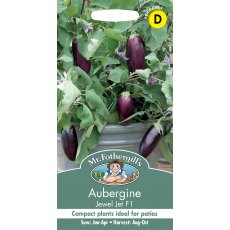 Aubergine Jewel Jet F1 Foth Seeds Aubergine Jewel Jet F1 Foth Seeds