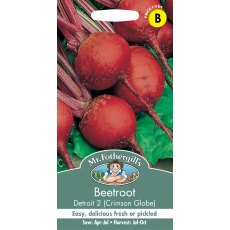 Fothergills Beetroot Detroit 2 Crimson Globe Fothergills Beetroot Detroit 2 Crimson Globe