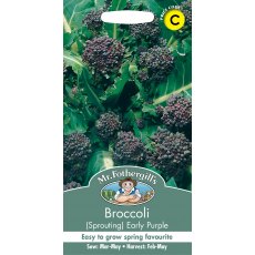 Fothergills Broccoli Sprouting Early Purple Fothergills Broccoli Sprouting Early Purple
