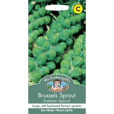 Fothergills Brussels Sprout Evesham Special Fothergills Brussels Sprout Evesham Special