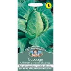 Fothergills Cabbage Offenham 2 Flower Spring Fothergills Cabbage Offenham 2 Flower Spring