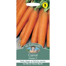Fothergills Carrot Early Nantes 5 Fothergills Carrot Early Nantes 5