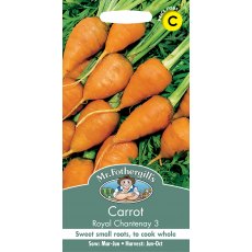 Fothergills Carrot Royal Chantenay 3 Fothergills Carrot Royal Chantenay 3