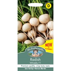Fothergills Radish Whitella F1 Fothergills Radish Whitella F1