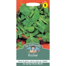 Fothergills Rocket Fothergills Rocket