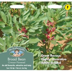 Fothergills Broad Bean Crimson Flowered Fothergills Broad Bean Crimson Flowered