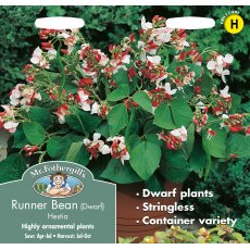 T&m Dwarf Runner Bean Hestia T&m Dwarf Runner Bean Hestia