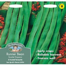 Fothergills Runner Bean Scarlet Emperor Fothergills Runner Bean Scarlet Emperor
