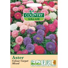 Fothergills Aster Colour Carpet Mixed Fothergills Aster Colour Carpet Mixed