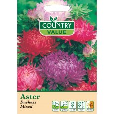 Aster Duchess Mixed Cv Seed Aster Duchess Mixed Cv Seed