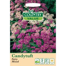 Candytuft Fairy Mixed Cv Seeds Candytuft Fairy Mixed Cv Seeds