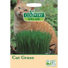 Cat Grass Cv Seeds Cat Grass Cv Seeds