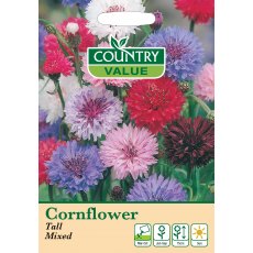 Cornflower Tall Mixed Cv Seeds Cornflower Tall Mixed Cv Seeds