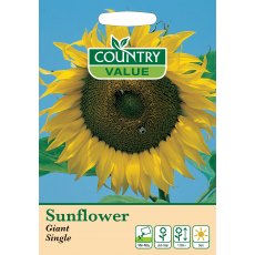 Sunflower Giant Single C V Seeds Sunflower Giant Single C V Seeds