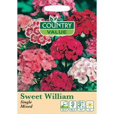 Sweet Wiiliam Single Mixed C V Seeds Sweet Wiiliam Single Mixed C V Seeds