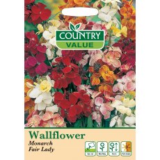 Wallflower Monarch Fairlady C V Seeds Wallflower Monarch Fairlady C V Seeds