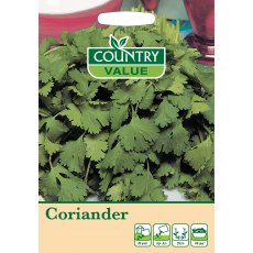 Coriander C V Seeds Coriander C V Seeds