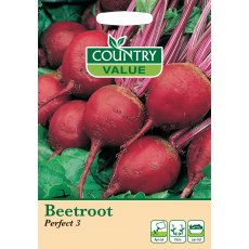 Beetroot Perfect 3 C V Seeds Beetroot Perfect 3 C V Seeds