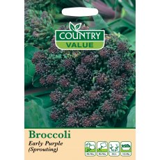 Broccoli Early Purp Sprout C V Seeds Broccoli Early Purp Sprout C V Seeds