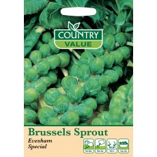 Brussels Sprouts Evesham Sp C V Seeds Brussels Sprouts Evesham Sp C V Seeds