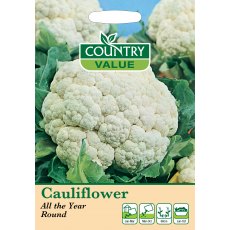 Cauliflower All Year Round C V Seeds Cauliflower All Year Round C V Seeds