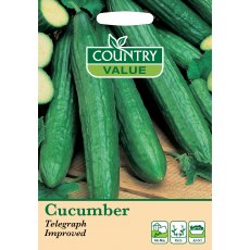 Cucumber Telegraph Improved C V Seeds Cucumber Telegraph Improved C V Seeds