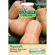 Squash Winter Butternut But C V Seeds Squash Winter Butternut But C V Seeds