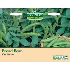 Broad Bean The Sutton C V Seeds Broad Bean The Sutton C V Seeds