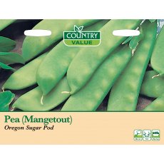 Pea Mangetout Oregon S Pod C V Seeds Pea Mangetout Oregon S Pod C V Seeds