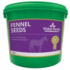Global Herbs Fennel 1kg Global Herbs Fennel 1kg