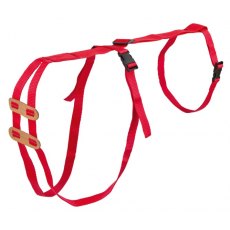 Prolapse Standard Harness Prolapse Standard Harness