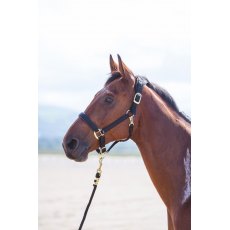 Shires Topaz Nylon Headcollar Shires Topaz Nylon Headcollar