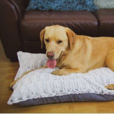 Snug & Cosy Novara Lounger Snug & Cosy Novara Lounger