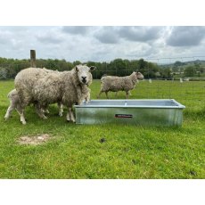 Bateman Sheep Water Trough