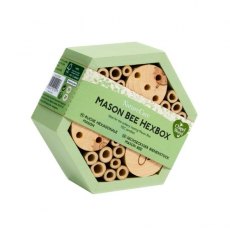 Chapel Wood Mason Bee HexBox Chapel Wood Mason Bee HexBox