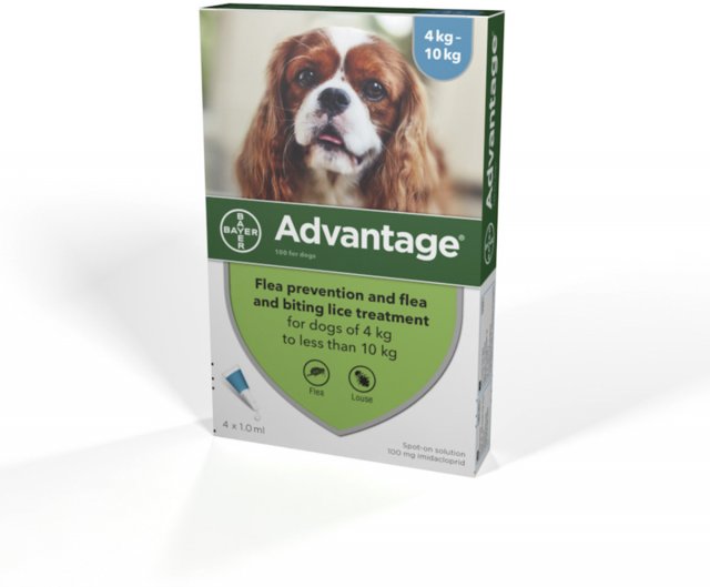 Advantage Anti flea 4 Pipettes BATA Ltd