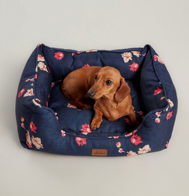 Joules cat hot sale bed