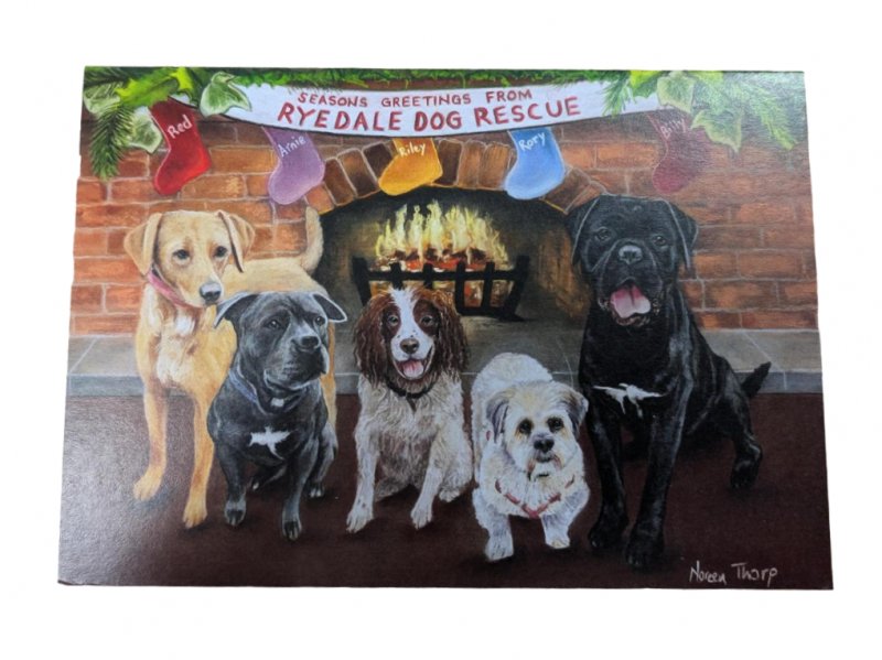 Ryedale Dog Rescue Charity Christmas Cards - 5pk