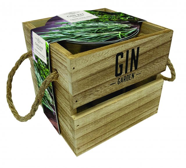 Taylors Bulbs Indoor Gin Garnish Kit