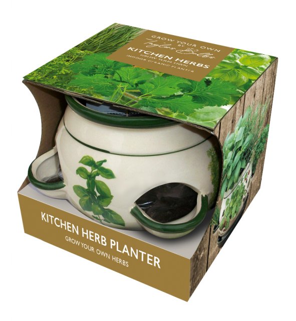 Taylors Bulbs Kitchen Herb Pot