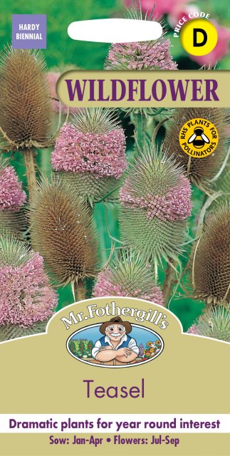 Mr Fothergill's Fothergills Wildlife Garden Teasel