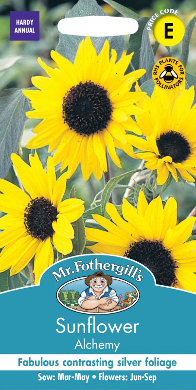 Mr Fothergill's Fothergills Sunflower Alchemy