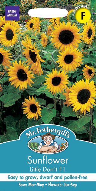 Mr Fothergill's Fothergills Sunflower Little Dorrit F1